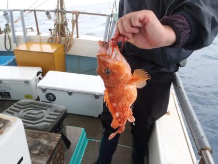 幸真丸はタイを求めて　<゜)))彡　玄界灘へGO～～～～～