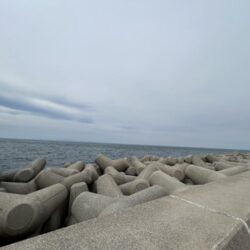 魚津港フカセグレ、ツバス