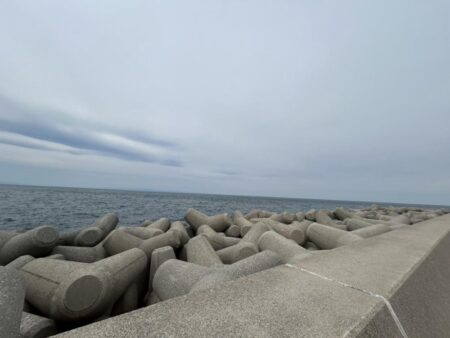 魚津港フカセグレ、ツバス
