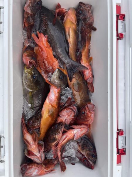 ロックショアゲーム