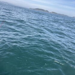 リールトラブルからの