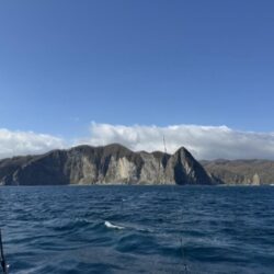 サクラ咲く 海上からのお便りは？