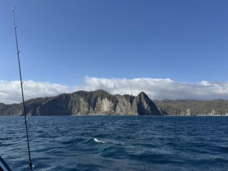 サクラ咲く 海上からのお便りは？