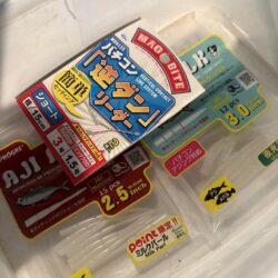 初バチコンアジング