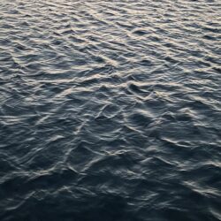 今季初のエギング