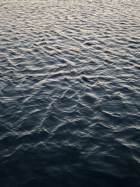 今季初のエギング