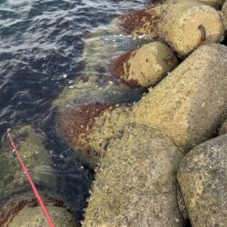 2026.No.8 ライトゲーム