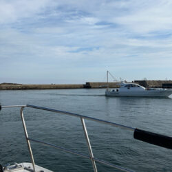 今年も寒ぶりとれました！