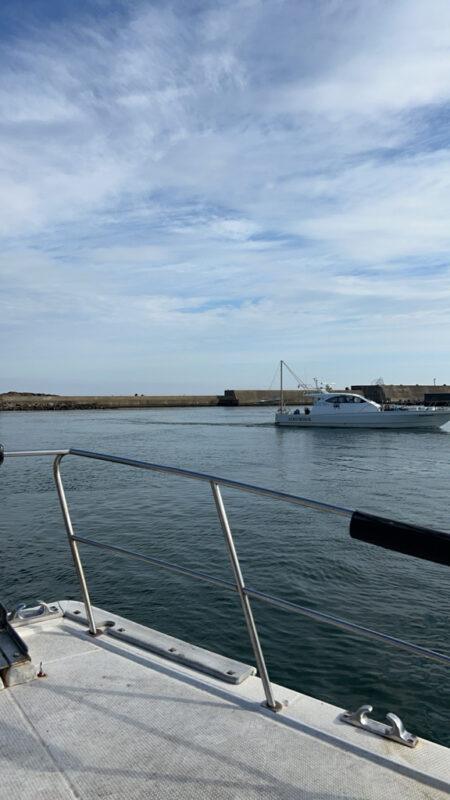 今年も寒ぶりとれました！