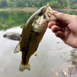 もうアフター💦