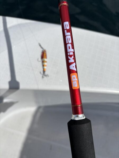 メジロを初めて釣りました！