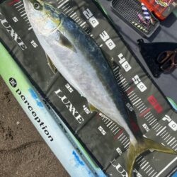 supフィッシング