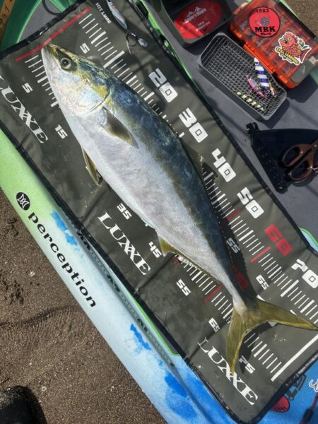 supフィッシング