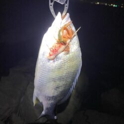 淀川ブリームゲーム