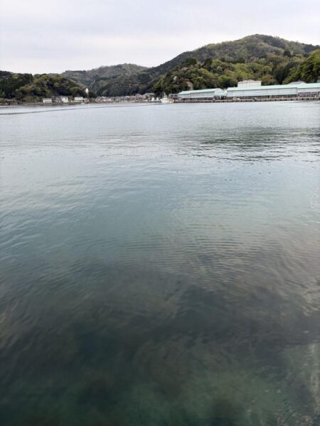 ちょい投げキス