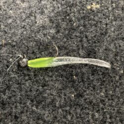 朝マズメのアジング