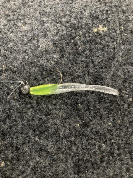 朝マズメのアジング