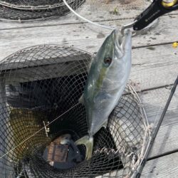 釣り堀水宝🎣