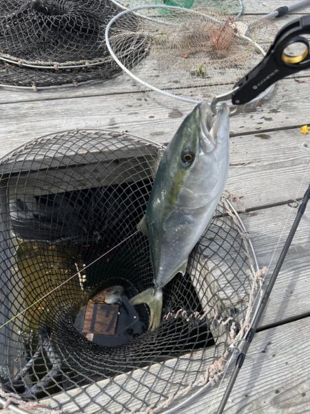 釣り堀水宝🎣