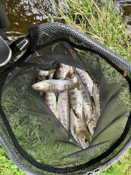 晴天無しでも釣果爆発