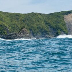 久しぶりに南伊勢でボート釣行