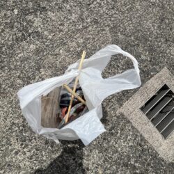 清掃活動：花見カレイ失敗。ポカポカの日