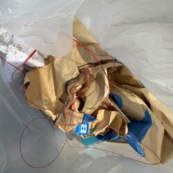 清掃活動：花見カレイ狙い