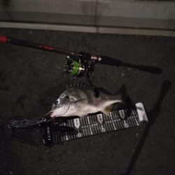 鱗付けが…