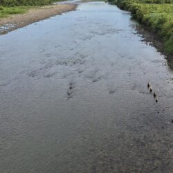 ド渇水やった