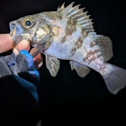 湾内にて