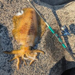 ​【自己新記録！】まさかの3kg超えモンスター出現！