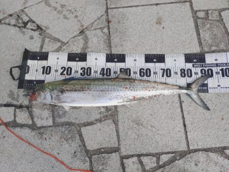 今年初翼港🎣