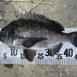 イチノ兄弟、釣果！