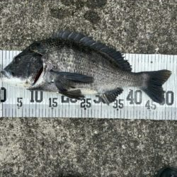 イチノ兄弟、釣果！