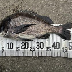 イチノ兄弟、釣果！