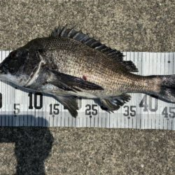 イチノ兄弟、釣果！