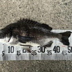 イチノ兄弟、釣果！