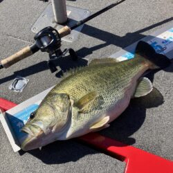 北山田サイト50cm