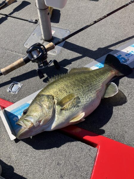 北山田サイト50cm