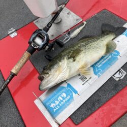 GW最終日サイト40cm