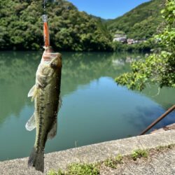 ダム巡り