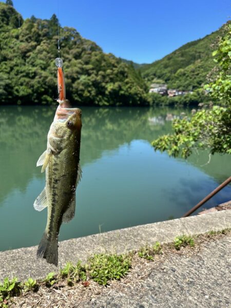 ダム巡り