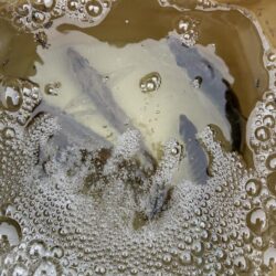 念願の壱岐遠征