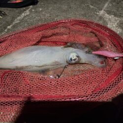 いつもと違う場所で