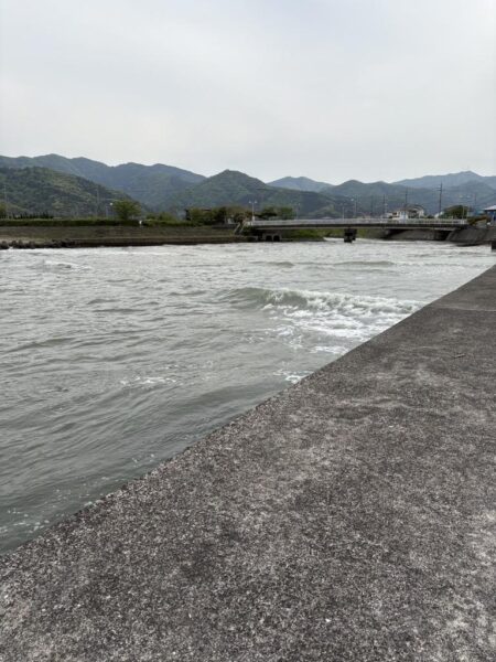 春アオリ&早キス探しin福井県