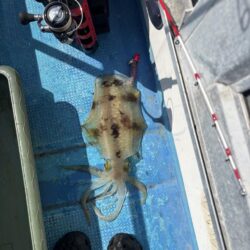 海王神ティップラン調査便