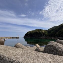 ロックフィッシュ