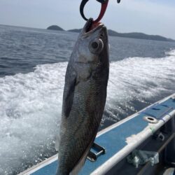 クログチ釣り
