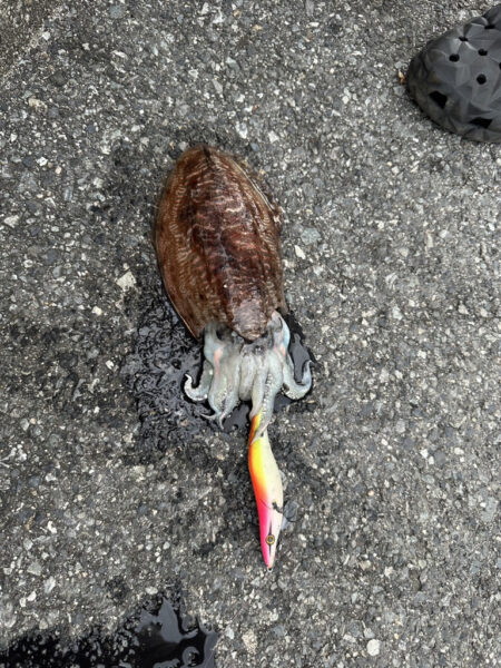 夢みなとタワー