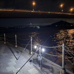 夜釣り、ちょい投げ